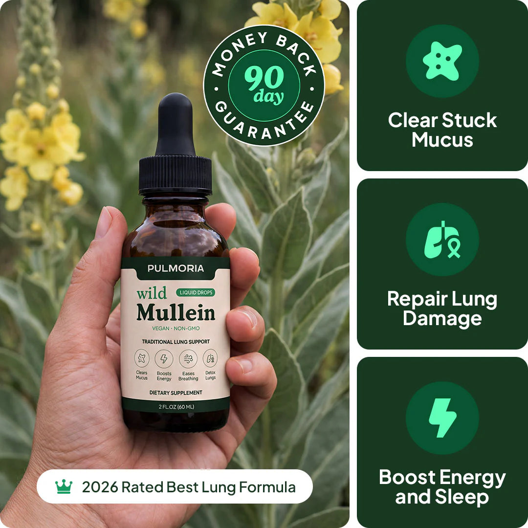 Wellnefy Mullein Drops