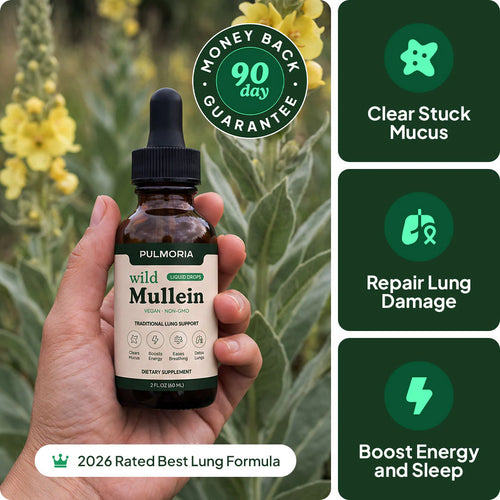 Wellnefy Mullein Drops